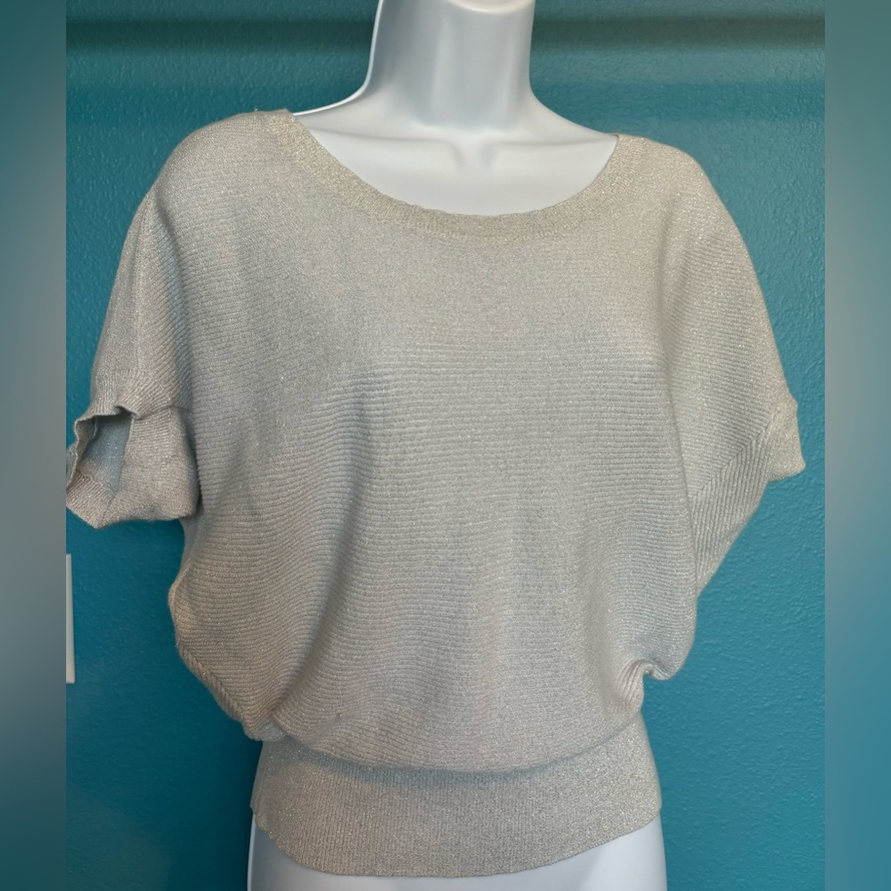 Express Shiny silver sweater blouse